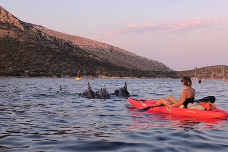 Golfo Aranci Kayak tour with aperitif and dolphin watching