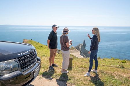 Private tour to Cape Kidnappers Gannet Colony