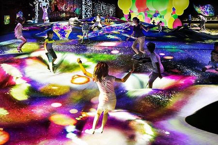Tokyo TeamLab Borderless Ticket with Optional Private Transfer