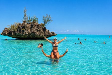 Dolphin Swim with Crystal Rock and BBQ Lunch in Mauritius
