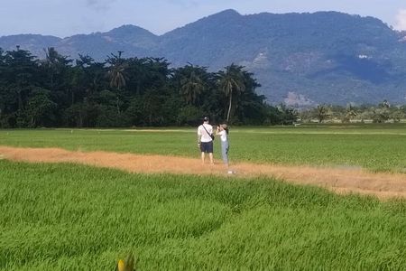 Balik Pulau Bicycle Tour