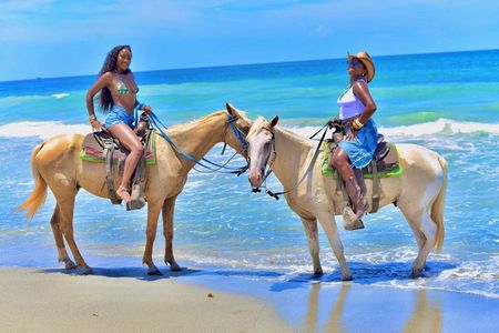 Punta Cana Horseback Riding & Macau Beach Experience