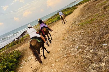 Punta Cana Horseback Adventure to Macau Beach