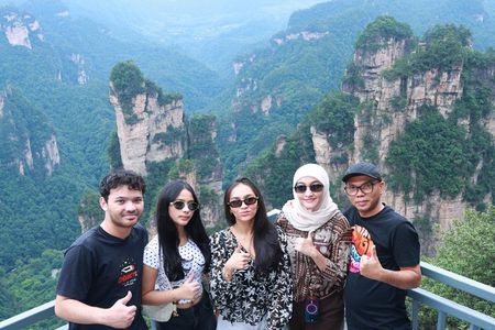 1-Day Private Avatar & Forest Park Tour: Bailong VIP Fast Track
