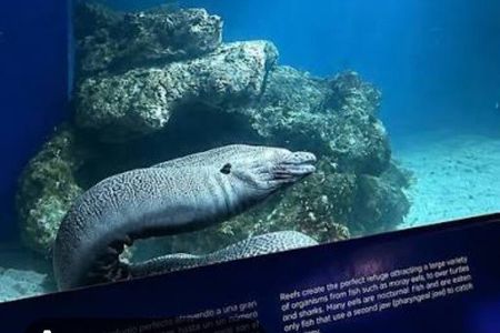 Zoo, Aquarium & Gardens