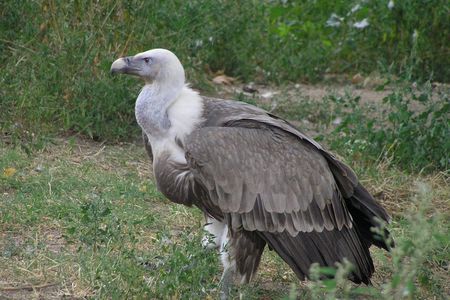 Private Nature & Wildlife Expedition