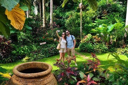 Taste of Barbados Full-Day Sightseeing tour