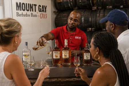 Small-Group Story of Rum Tour in its Birthplace of Barbados