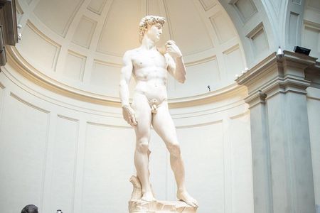Florence Accademia Timed Entry to Michelangelo's David & Bargello
