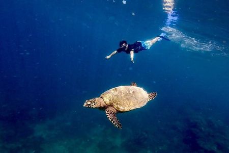 Island Hoping 5 Gili : Gili Gede, Asahan, Rengit, Layar & Goleng