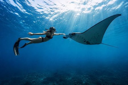 Bali Nusa Penida Snorkeling with Manta Rays and Island Tour