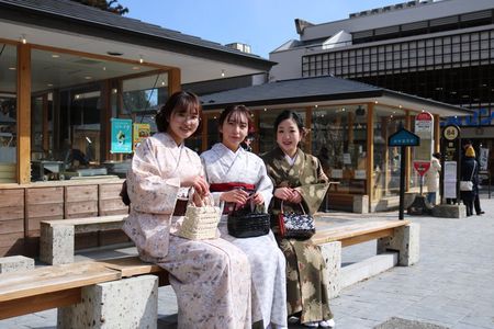 Explore Historic Nikko in Kimono with Free Hair Accessory
