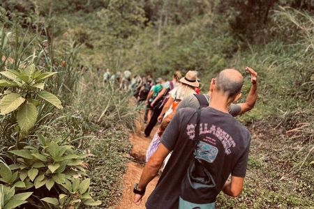 Materuni Waterfall Hike & Authentic Chagga Coffee Lunch