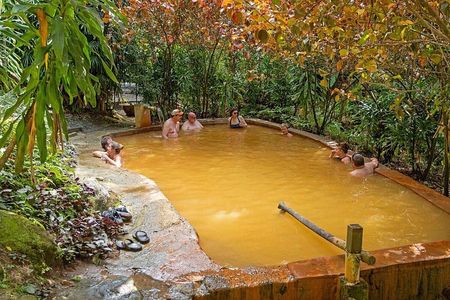 VIP All Inclusive Majestic Experience:W/falls Sulphur spa & Beach