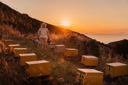 Naxos Estate Olive Oil & Honey Tasting & Farm-to-Table Breakfast
