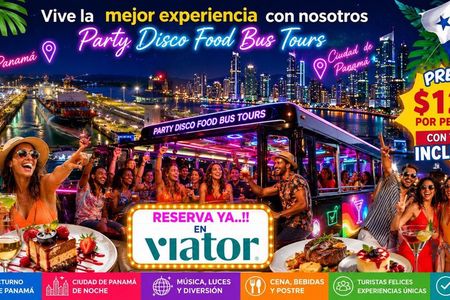 Party Disco Bus Tour Restaurant (ALL INCLUSIVE PRICE)