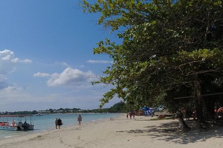 Negril Catamaran Party Cruise Experience