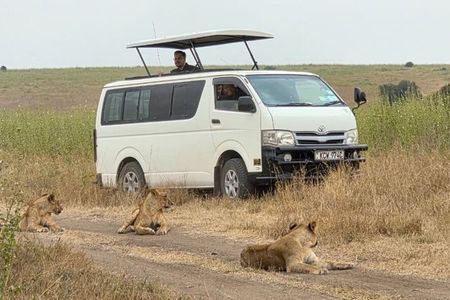 Half Day Nairobi National Park Tour with Options