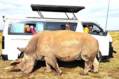 Day tour to Olpejeta Conservancy from Nairobi