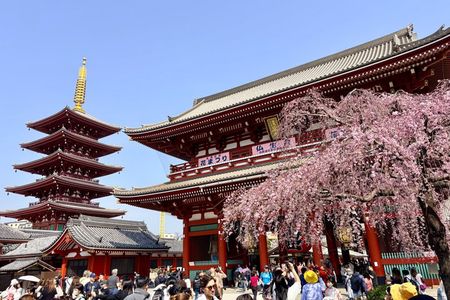 Tokyo Private Half-Day Highlights Tour by Car with Guide