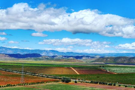 Private Vineyards Tour: Wine & Food Included