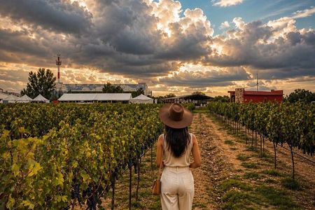 Full Day Harvest Season Wine Tour & Grape Stomping Tequisquiapan