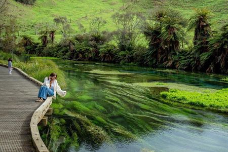 From Hamilton Waitomo Glowworms Blue Springs and Kiwi House