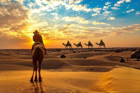 VIP Desert Safari & Camel Ride, Live Shows BBQ,Dinner Sand Board