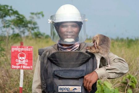 Siem Reap: City Highlights Tour & APOPO Hero Rat Experience