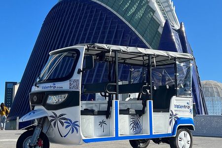 Tour Tuk Tuk Valencia 2h Discover History and Modernity