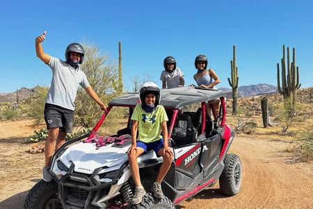 11:00 AM 2-Hour Sonoran Desert Guided UTV Tour from Fort McDowell
