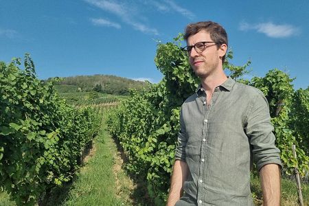 Ammerschwihr: Vineyards, winery and tasting Guide 6 Alsatian wines