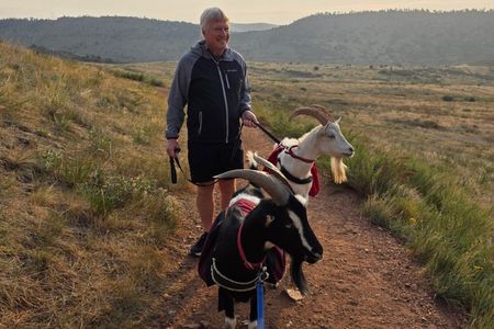 Goat hiking adventure near Morrison