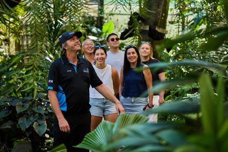 Cairns City Sights and Surrounds Tour
