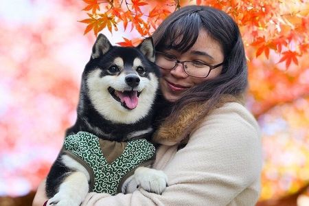 Tokyo Shiba Inu Shrine Walk | Discover Tokyo's Hidden Side