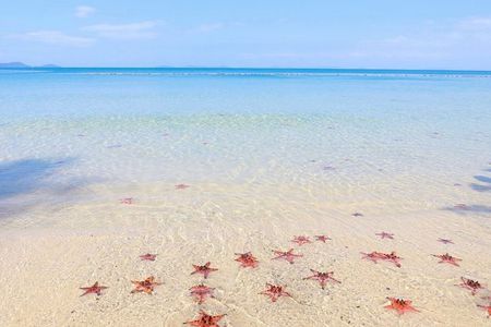North Phu Quoc Discovery: Land Tour, Kayaking & Nature Escape