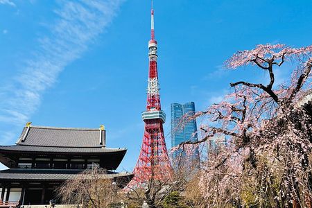 Tokyo Private Half-Day Highlights Tour by Car with Guide