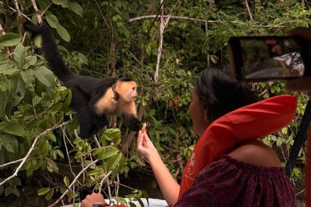 Panama Canal: Gatun Lake Wildlife Boat Tour