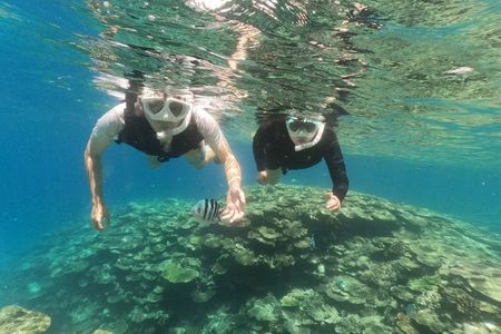 Okinawa: Boat Snorkeling 2 Rounds at Minna, Sesoko or Motobu