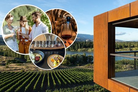 Queenstown Wine Tour: Two Wine Regions & Wine Cave | Adults Only