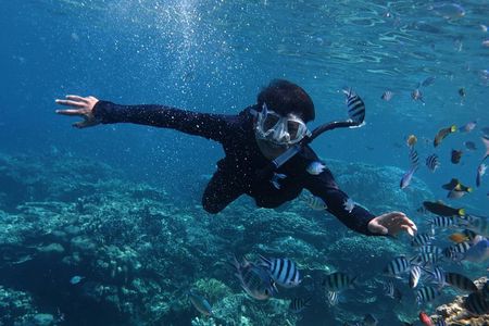 Bali Blue Lagoon Snorkeling with Tibumana and Kanto Lampo
