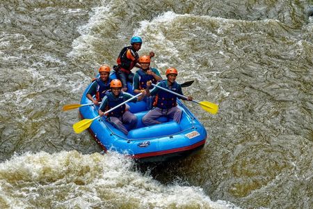 Bali Ayung River Rafting with Private Transfer and Lunch