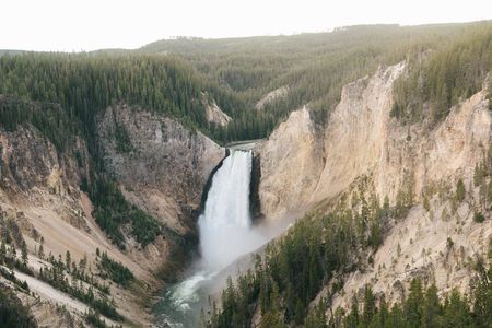 Private Yellowstone Wildlife and Geology Tour from Jackson Hole