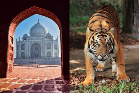5 Days Golden Triangle with Ranthambore Safari – Taj & Tigers
