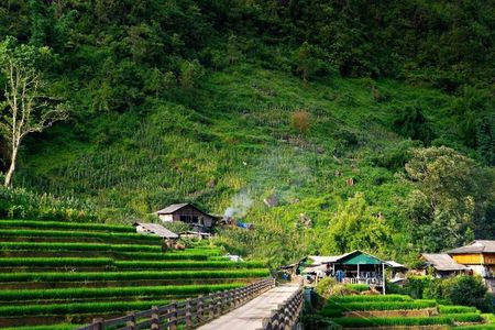 Hanoi: Sa Pa Rice Terrace Trail & Bac Ha Market| Homestay & Hotel