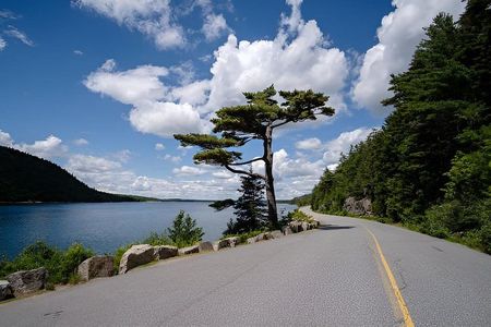 Explore Acadia Nat'l Park, Fjord & Mansions