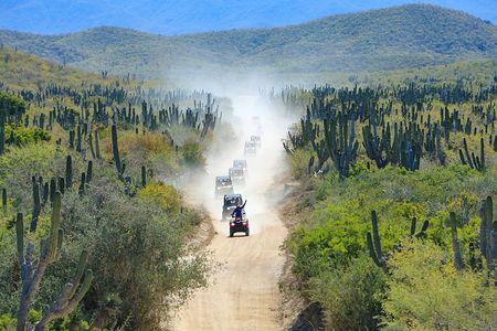 Cabo UTV Off-Road Tour with Mexican Lunch & Tequila Tasting