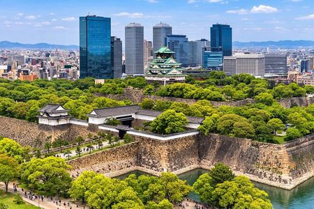 Osaka Highlights: 4Hrs Guided Walking Tour with a Native Expert
