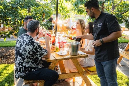 Lunch in the Vineyard: A Scenic Niagara Wine Tour Experience
