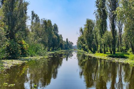 Xochimilco Natural Reserve-Isla de las Muñecas Original - Coyoacán